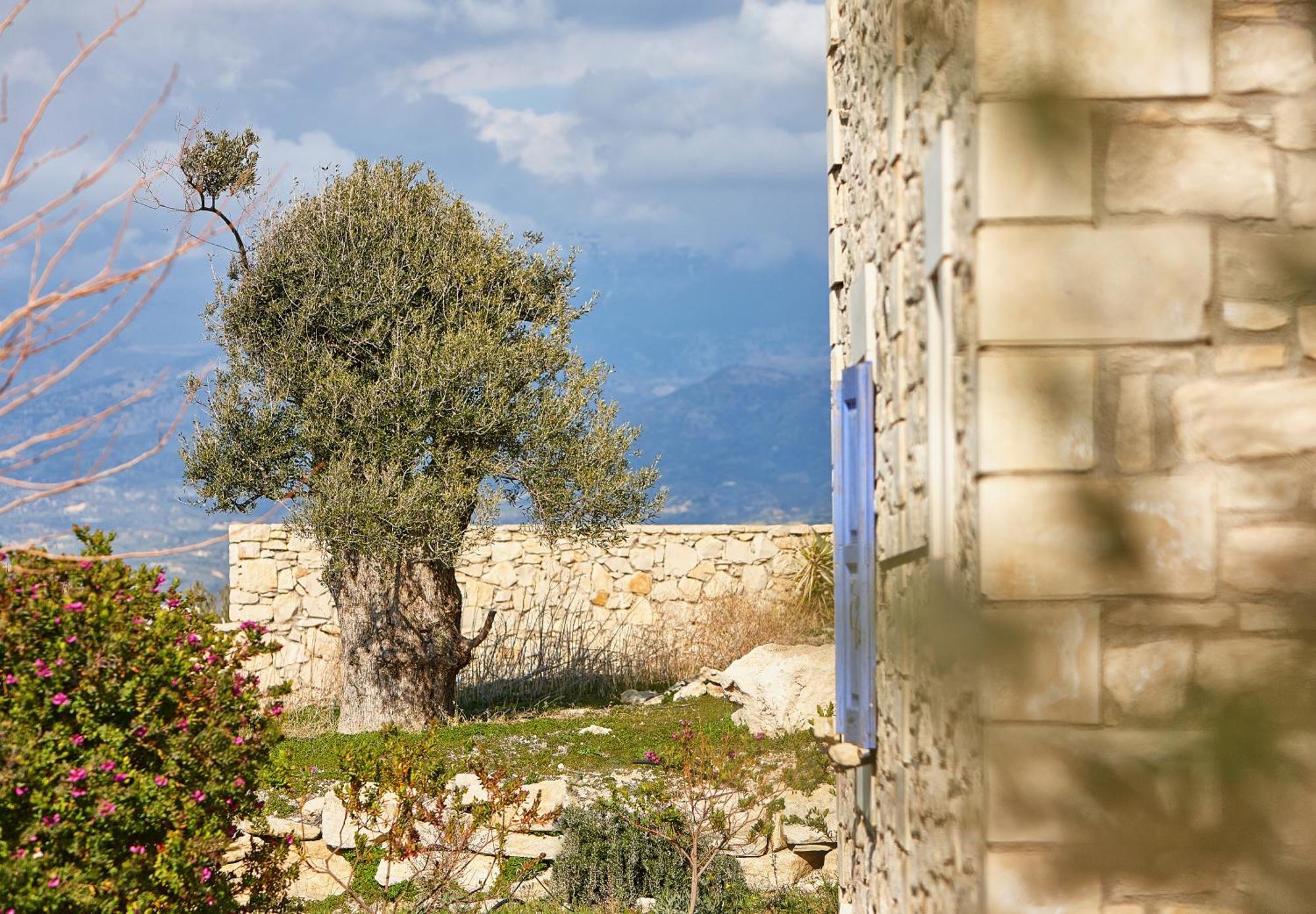 Orelia Cretan Deluxe Apartments Kamilari Luaran gambar